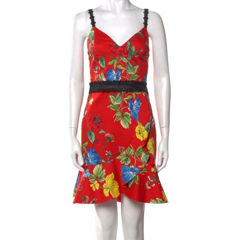 Alice + Olivia Floral Dress